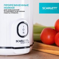 Соковыжималка Scarlett SC-JE50S63 в Бресте