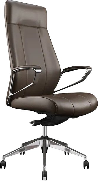 

Офисное кресло Sunon Calm CKM80SC (коричневый)