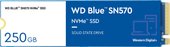 WD Blue SN570 250GB WDS250G3B0C