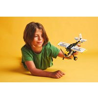 Конструктор LEGO Technic 42198 Транспортный самолет