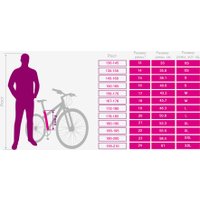 Велосипед Nialanti Stellar MD 29 р.19.5 2024 (серый матовый)