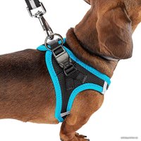 Шлея Ferplast Kaori P 75469022 (XXS, черный/синий)