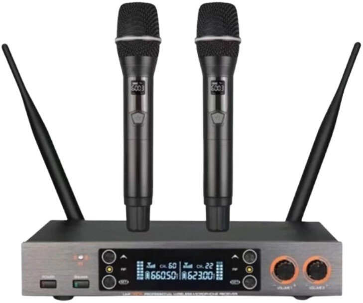 Радиосистема LAudio LS-201-2M