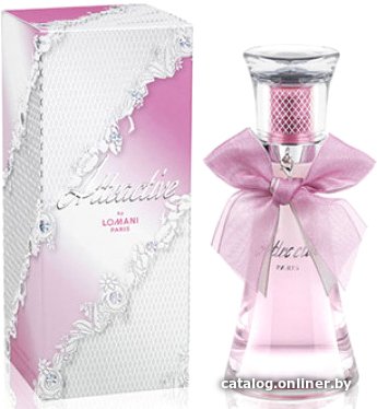 Парфюмерная вода Lomani Attractive EdP (100 мл)