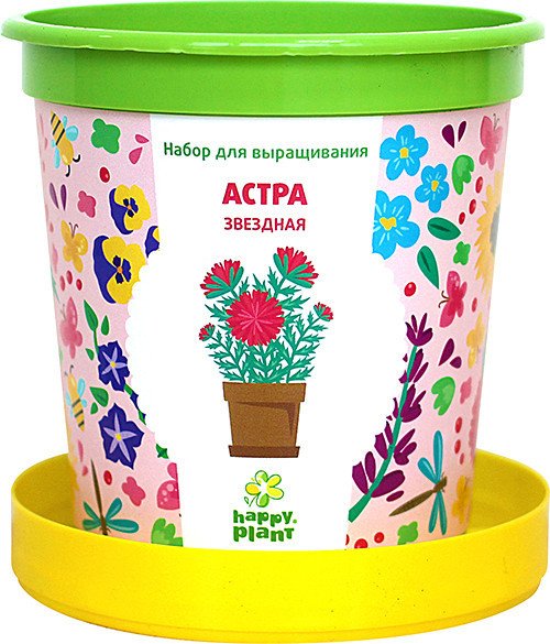 

Набор для опытов Happy plant Астра звездная hpn-6