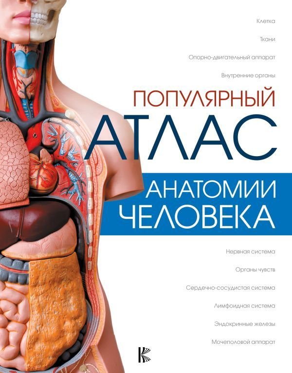 

Учебное пособие издательства АСТ. Популярный атлас анатомии человека