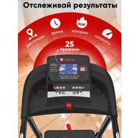 Электрическая беговая дорожка Willman T4400F (черный/красная)