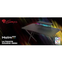 Геймерский стол Genesis Holm 300 RGB