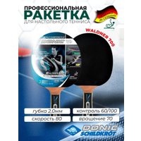 Ракетка для настольного тенниса Donic-Schildkrot Waldner 700 754872