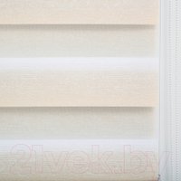 Рулонные шторы Lm Decor ДН LB 55-01 34x160