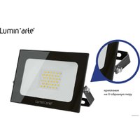 Уличный прожектор Luminarte LFL-20W/05