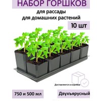Горшок Чипполино Двухуровневый с выдвижным дном, многоразовый (черный)