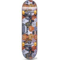 Скейтборд Atemi ASB31D01 31x8