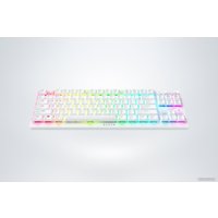 Клавиатура Razer DeathStalker V2 Pro TKL (белый, Razer Low Profile Optical Red, нет кириллицы)