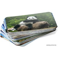 Настольная игра Нескучные игры Мемо - Удивительные животные