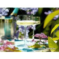 Бокал для шампанского Stolzle Power 1590008