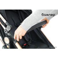 Универсальная коляска Lorelli Alba Classic (3 в 1, черный)