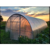 Теплица Велес 40x20/1, 12 м