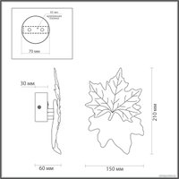 Бра Odeon Light Eva 4371/3WL