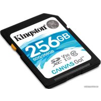 Карта памяти Kingston Canvas Go! SDG/256GB SDXC 256GB