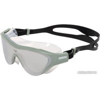 Очки для плавания ARENA The One Mask Mirror 004308 102 (серебристый/черный)