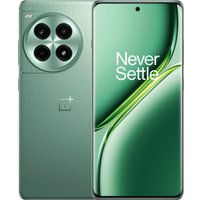 Телефон OnePlus Ace 3 Pro 12GB/256GB китайская версия (зеленый лес)