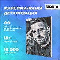 Алмазная мозаика  QBRIX Original 40004