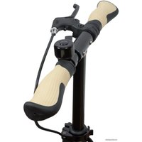 Двухколесный подростковый самокат Plank Lifestyle P22 (золотистый металлик)