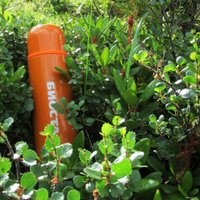 Термос БИОСТАЛЬ NB-750C-O (оранжевый)