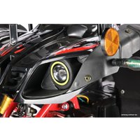 Квадроцикл White Siberia Sneg Pro 3000W