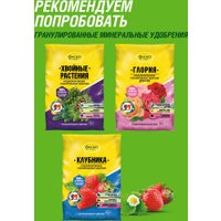 Удобрение Фаско Для ягодных кустарников гранулированное (1 кг)