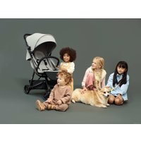 Коляска прогулочная «книга» Anex Air-z (mist Az-03)