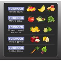 Соковыжималка Zigmund & Shtain EJ-755 в Витебске