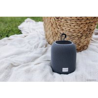 Беспроводная колонка Canyon BSP-8 (бордовый)