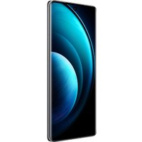 Смартфон Vivo X100 16GB/512GB международная версия (черный астероид)