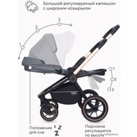 Универсальная коляска Rant MOWbaby Zoom PU (2 в 1, gold grey)