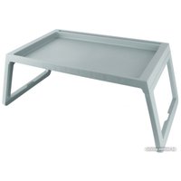 Поднос Darvish SR-H-522-3