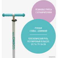 Трехколесный самокат Cosmoride Funny S910W (цветы)