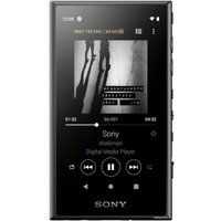 Hi-Fi плеер Sony Walkman NW-A105HN (черный, с наушниками) в Борисове