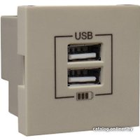 Розетка USB Efapel 45439 SPE