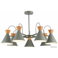 Люстра средней высоты Evoluce Modica SLE125112-07