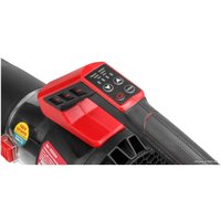 Ручная воздуходувка Wortex BB 2536 D ALL1 0333234 (без АКБ)