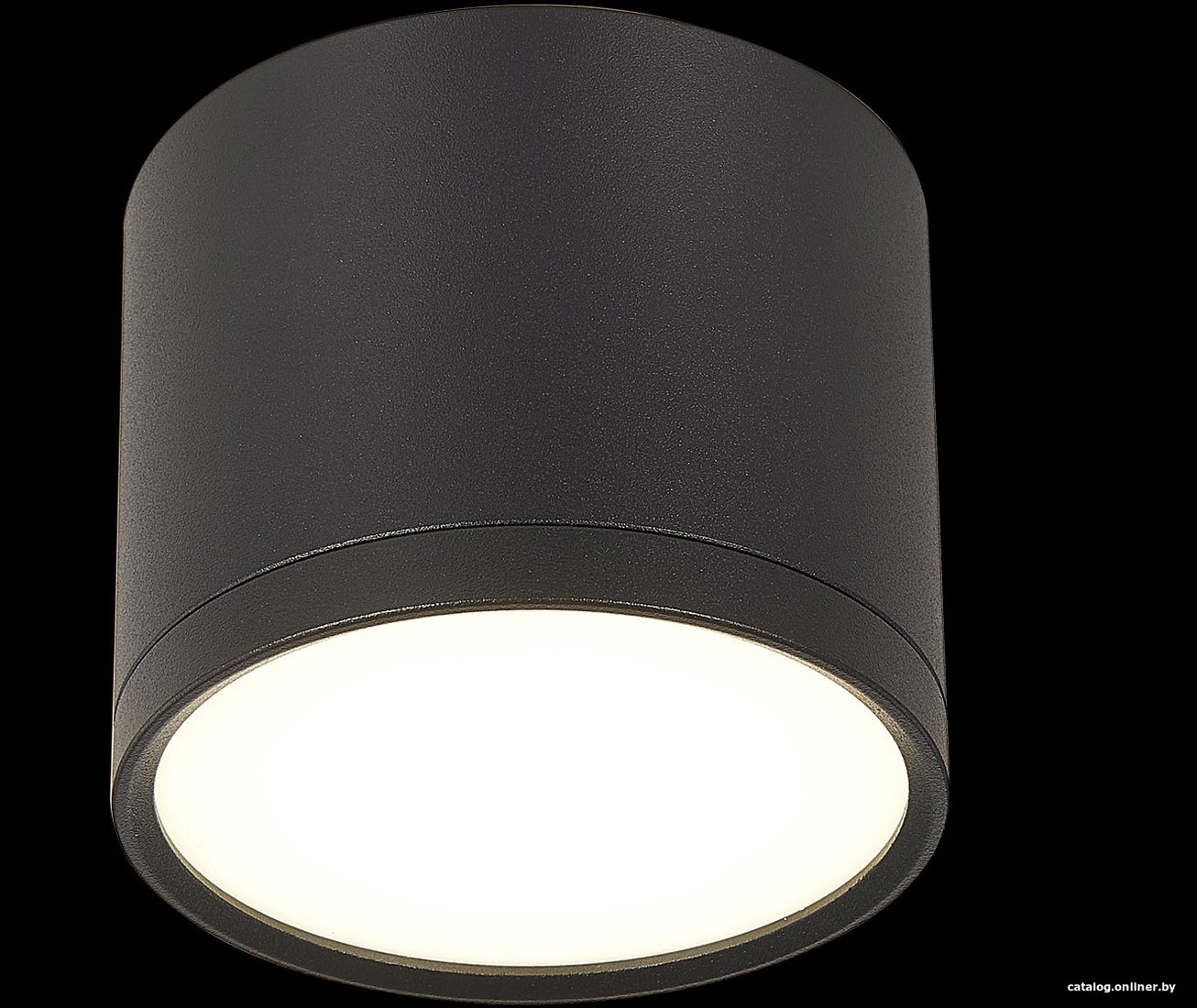 Точечный светильник ST Luce Rene ST113.442.09