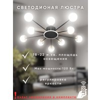 Припотолочная люстра Aitin Pro L73058/10C (черный/хром)