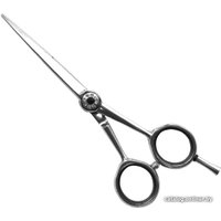 Ножницы парикмахерские Sergio Professional PDQ-55