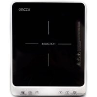 Настольная плита Ginzzu HCI-173