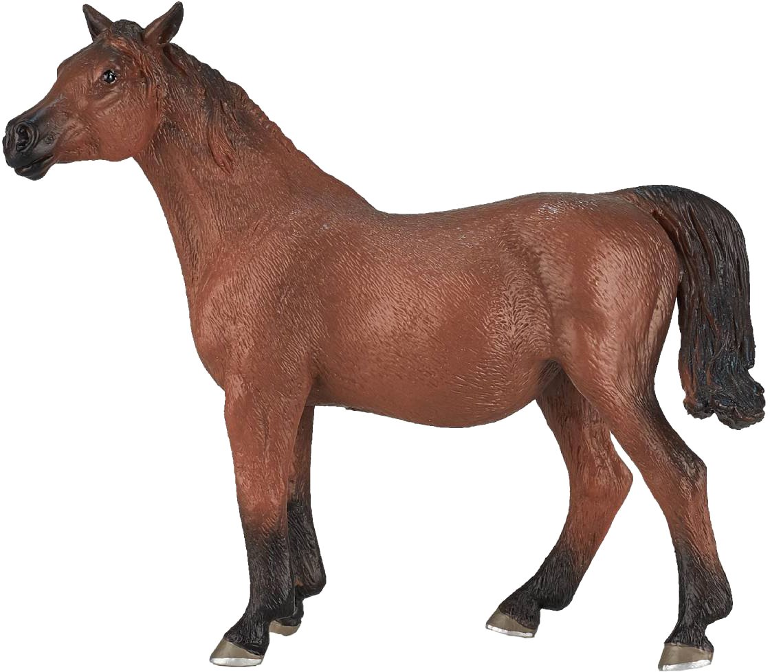 

Фигурка Konik Арабская кобыла Жеребая AMF1052