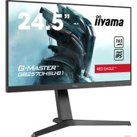 Игровой монитор Iiyama G-Master GB2570HSU-B1