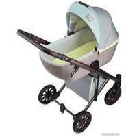 Универсальная коляска Anex E/type Special edition (2 в 1, Victor Wilson ET-SE02)