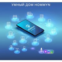 Центр управления (хаб) Hommyn Hub HH-01